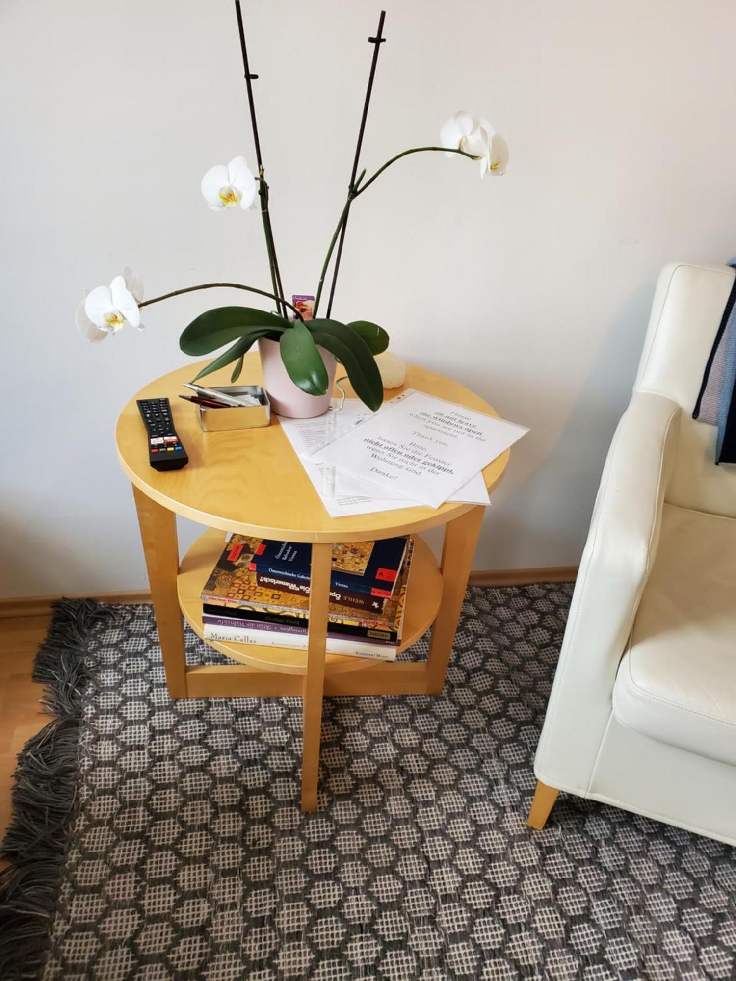 Schubert Park Apartment Near Volksopera Wien Ngoại thất bức ảnh